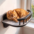 Cat Wall Shelves, Modern Cat Wall Furniture for Indoor Cats - Black