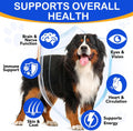 Taurine for Dogs - Taurine Drops for Dog Supports Heart Health, Muscle Function & Daily Vitality Immune System - Liquid 