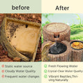 550ML Reptile Water Fountain with Food Dish – Terrarium Drinking Fountain for Bearded Dragon, Gecko, Chameleon, Lizard, 