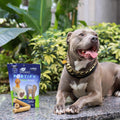 Ark Naturals Fortify Brushless Toothpaste – Large Breeds, 18oz Bag – Dog Dental Chew with Calcium, Omegas & Beef Marrow Center – Support Strong Teeth and Freshen Breath with Dental Chews for Dogs
