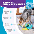 Outward Hound by Nina Ottosson Silly Legz Interactive Plush Dog Puzzle, Dog Enrichment Toys, Plush, Floppy, Long, Octopus, Blue