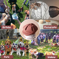 SEIS 3 Pcs Dog Berets Fashion Pet Hat French Artist Cat Cap Baseball Cap for Party Birthday Wedding Photo