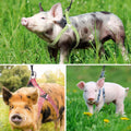 YeeBeny Mini Pig Harness Adjustable with Leash Foam Handle Pink, S