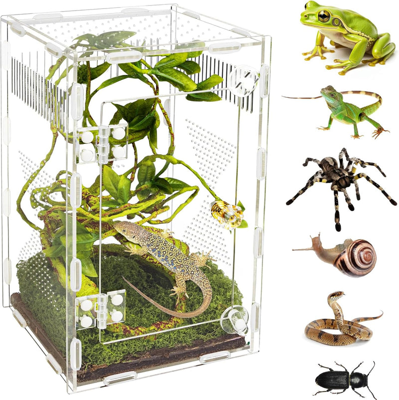 Acrylic Jumping Spider Habitat, Reptile Terrarium Easy Assembly, Bug Enclosure, Praying Mantis Habitat, Frog Enclosure, 