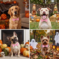 ADOGGYGO Pink Halloween Dog Collar Girl, Ghost Bow Dog Bow Tie Collar L