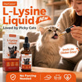 L-Lysine Beta Glucan for Cats Immune & Respiratory Drops 60ml
