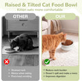 Elevated Cat Bowl, 5 Oz Raised Cat Food and Water Bowl Set for Cats, Ceramic Raised and Tilted Water Bowl, 15°Tilted Sta