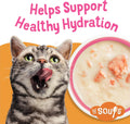 Friskies Purina Grain Free Lickable Cat Food Toppers Lil’ Soups with Sockeye Salmon in Chicken Broth - 1.2 oz. Cups,(Pac
