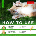 Cat Antibiotic for Infections, UTIs, Respiratory Moments, Cold, & Allergies | Antibiotics for Cats of All Ages & Breeds 