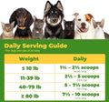 Dog Cough Powder–Relieves Cough, wheezing, tracheal Collapse, and Throat Irritation–Respiratory Health–Immune Support fo