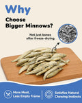 PAWUP Freeze Dried Minnows Dog Treats – 100% Single Ingredient Fish Treats for Dogs – Omega-3 Rich, Grain Free Training Treats & Dog Food Topper, 2.8 oz