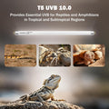 T5 10.0 UVB Reptile Light Bulb, 24W 22" 2-Pack for Bearded Dragon