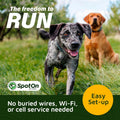 SpotOn Omni GPS Dog Fence Collar, Medium Dogs 12-18 Inch Neck