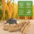 ERKOON 2.5LB Spray Millet Treat, All Natural Sun-Dried Healthy Treat Parrot Food Bird Snack for Parakeets, Lovebirds, Cockatiels, Finches, Budgies, Canaries Hamster, Bird Food Bulk
