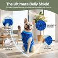 PetWarm Post Spay Dog Suit Female, Dog Onesie for Spay Neuter, Recovery Suit for Female Male Dogs Bodysuit for Abdominal Affected Areas Sensitive Skin Areas, Galaxy Pattern, Blue, XS