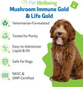 Pet Wellbeing More Mushrooms Value Size for Dogs - Immune System Support