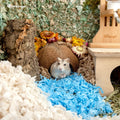 2 Pack Natural Coconut Reptile Hideouts, Lizard, Spider and Aquarium Fish Hide Cave (Natural Surface)