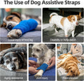Dog Sling for Large Dogs Hind Leg Support, Adjustable Soft Padded Harness for Weak, Injured, or Disabled Back Legs, Help