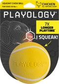 Playology Squeaky Chew Ball Dog Toy - Jumbo, Chicken Scent