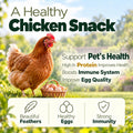 11LB Dried Mealworms for Chickens, Laying Hens, Ducks & Wild Birds
