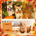 Huhumy 50 Pcs Fall Dog Bow Tie Bulk Thanksgiving Pet Collar for Dog Cat