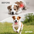 Canine Dewormer for Dogs (fenbendazole) 50 g, Easy-to-Measure Food Mix-in, Simple Routine Support for Dogs 6 Weeks and Older