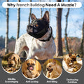 Short Snout Dog Muzzle, Breathable Soft Mesh French Bulldog Muzzle