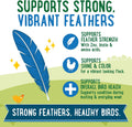Manna Pro Farmhouse Favorites Fly & Fruit Feather Support Poultry Treat, Duck Treat, Gamebirds, Scratch, Insect & Fruit 