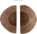 2 Pack Natural Coconut Reptile Hideouts, Lizard, Spider and Aquarium Fish Hide Cave (Natural Surface)