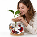 Healifty Desktop Fish Bowl, Glass Hydroponic Planter Tank Kit 5. 1 X 4. 7"