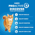 IAMS Proactive Health Healthy Weight Dry Cat Food, Chicken, 3.5 lb