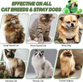 Cat Deterrent Outdoor, 12 Pack Natural Peppermint Oil Cat Deterrent Outdoor& Indoor with Essential Oils Keep Cats Away f