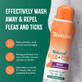 TropiClean Gentle Flea Shampoo for Cats, Flea and Tick Prevention for Cats, Powerful & Natural Defense, Made in USA, 12 oz.