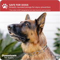Downtown Pet Supply Chrome Plated Prong Collar for Dogs, Large - Adjustable, No-Choke and No Pull Dog Collar with Remova