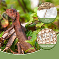 Nebulist Adjustable Bearded Dragon Hammock – Natural Seagrass Reptile Hammock with Collapsible Metal Legs – Lizard Hammo