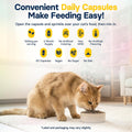 FiberSyl Prebiotics for Cats Digestive Health - Cat Fiber Supplements for Constipation Relief & Support - Psyllium Husk Seed to Support Digestion Problems - Cat Stool Hardener - 60 Capsules