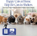 The Cat's MeWow - MeWow Mist - All Natural Extremely Potent Catnip Spray for Toys, Teasers, Kickers, Beds, Towers, Scratchers, and More. 8 fl oz Made in America