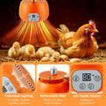 Enhon 2 Pack Chicken Coop Heater with Remote, Timing Heat Lamp for Chickens