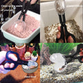 Mini Dustpan Brush Set,Feeding Tongs,Tweezers for Small Animals & Reptiles
