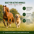 Healthy Paw Life Advanced Botanical Liniment for Horses, Dogs & Active Animals | Fast-Absorbing Daily-Use Formula