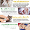 SDJUFEI Natural Antibiotics for Cats, Pet Supplements, 2 Fl Oz / 1 Pack Cats Multivitamin, Cat Antibiotic, Supports Cat Allergy Itch Relief, Chicken Flavor