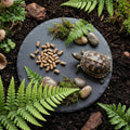 Reptile Basking Platform 6" Round Slate Rock Plate, Natural Tortoise Feeding Bowl Resting Stone for Bearded Dragon Turtl