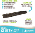 Raw Paws Green Lamb Tripe Sticks for Dogs, (25-Count) - Single Ingredient