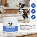Doggy Supps Taurine Powder for Dogs, DoggySupps Taurine Supplement for Dogs, Grade Amino Acid Supplement for Heart, Visi