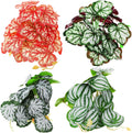 Suncalla 4 Pack Reptile Plants for Terrarium