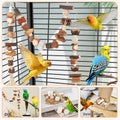 ZooVibe Bird Toys Parrot Natural Foraging Box Parakeet Toys DIY Hanging String for Cockatiels,Conures,Love Birds,and Other Small to Medium Birds Cage Accessories (Medium)