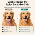 Natural Dog Company Sensitive Skin Dog Shampoo – Hypoallergenic Oatmeal Anti Itch Shampoo for Dogs, Gentle Puppy & Dog Wash with Aloe Vera, Manuka Honey & Chamomile, Odor Control, 12 oz