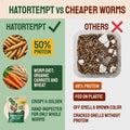 Hatortempt Bulk Dried Mealworms - 5 Lb Bag - Dried Mealworms for Chickens, Ducks & Wild Birds - High-Protein Chicken Feed & Bird Food