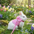 Bunny Harness and Leash Set, Soft Mesh Rabbit Harness with Bow, Adjustable Escape Proof Vest for Small Pets Rabbits Kitt