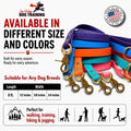 JIM HODGES DOG TRAINING Gummy K9 Dog Leash, Biothane, Dog Training Leash, Made in The USA, 6 Feet, Various Sizes & Colors (5/8, Black)